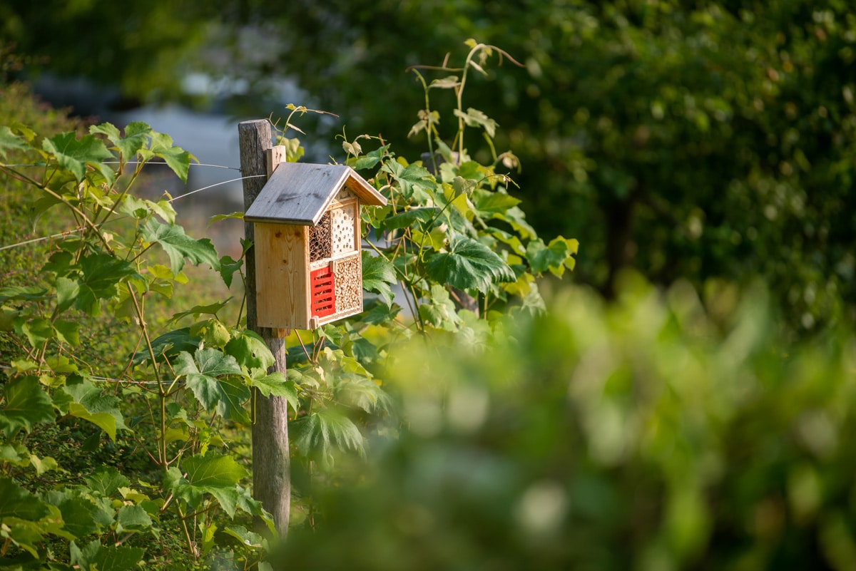 Insektenhotel im Garten